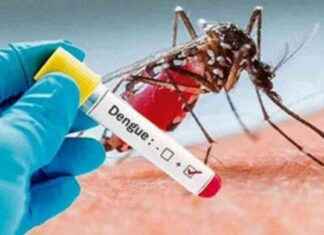 No Deaths from Dengue, 17 Admitted to Hospital no-deaths-from-dengue-17-admitted-to-hospital