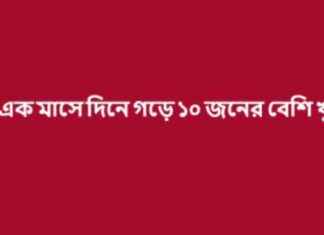 Over 300 Murders in One Month: Alarming Trend or Anomaly? over-300-murders-in-one-month-alarming-trend-or-anomaly