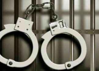 7 Bangladeshi Nationals Arrested in India 7-bangladeshi-nationals-arrested-in-ndia