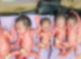 Effortless Delivery of Six Newborns Together effortless-delivery-of-six-newborns-together