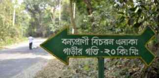 Endangered Animals Dying in Unregulated Vehicle Roads of Protected Forests endangered-animals-dying-in-unregulated-vehicle-roads-of-protected-forests