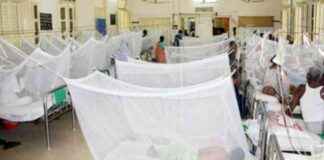 Rising Dengue Cases and Deaths Prompt Urgent Action rising-dengue-cases-and-deaths-prompt-urgent-action